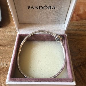 Brand new Pandora Iconic Silver Charm Bracelet